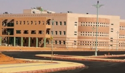 University of Hail